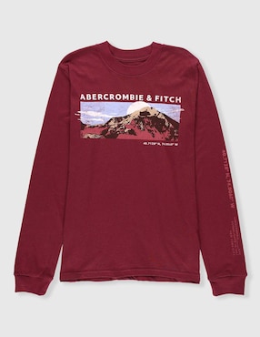 Playera Abercrombie & Fitch manga larga para niño