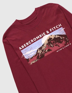 Playera Abercrombie & Fitch manga larga para niño
