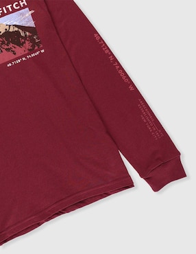 Playera Abercrombie & Fitch manga larga para niño