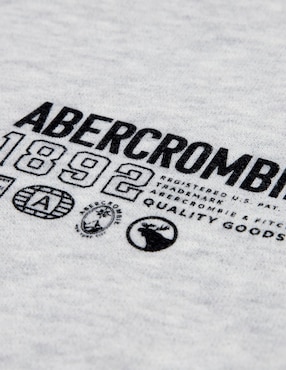Sudadera Abercrombie & Fitch para niño